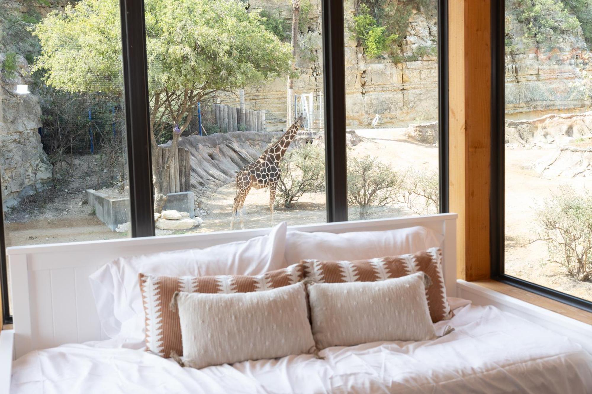 San Antonio Zoo - Spekboom Giraffe Lodge Exteriér fotografie